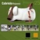 Silla Zaldi Campera Cabriola Rejoneo (Comp)