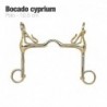 Bocado Cyprium polo