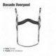 Bocado liverpool goma puente