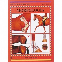 Guía. Morfologia del caballo