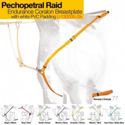 Pechopetral Raid