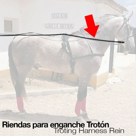 Riendas enganche Trotón