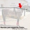 Riendas enganche Trotón