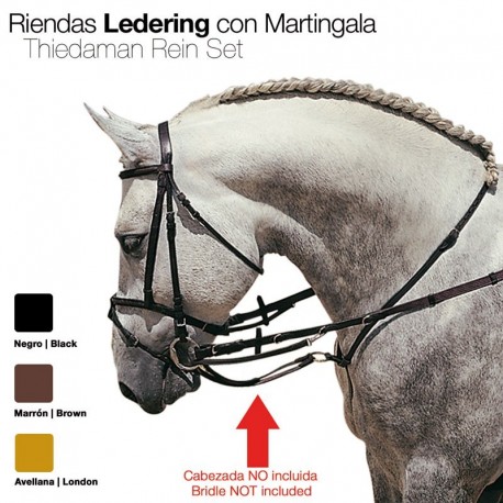 Riendas Ledering con martingala