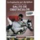 DVD: Curso práctico Salto de Obstáculos I