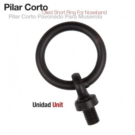 Pilar corto pavonado para muserola