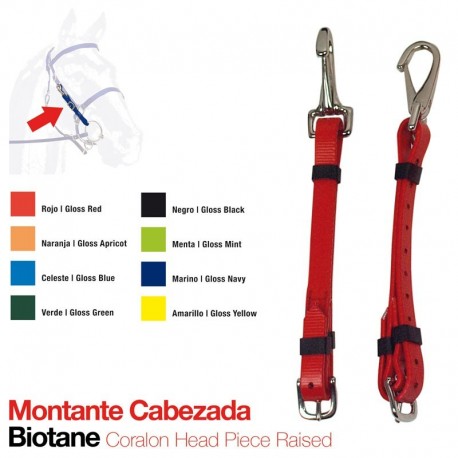 Montante cabezada Biotane