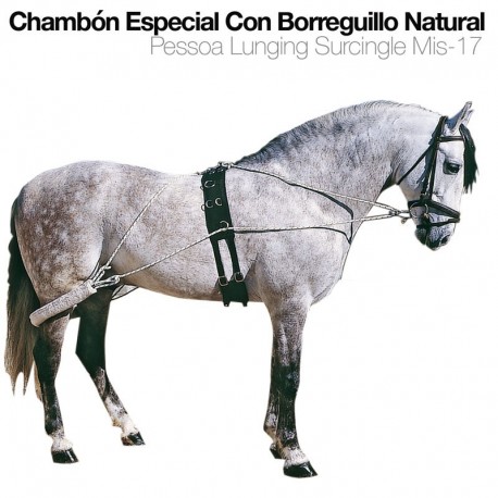 Chambón especial con borreguillo
