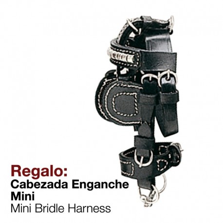 Regalo cabezada enganche mini