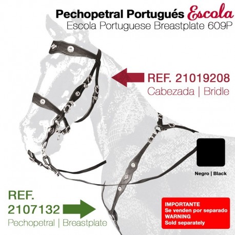 Pechopetral Portugués Escola