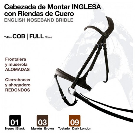 Cabezada montar inglesa rienda cuero