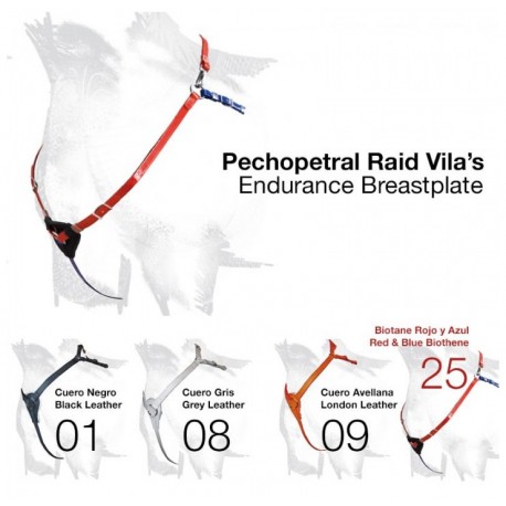 Pechopetral Raid Vila's