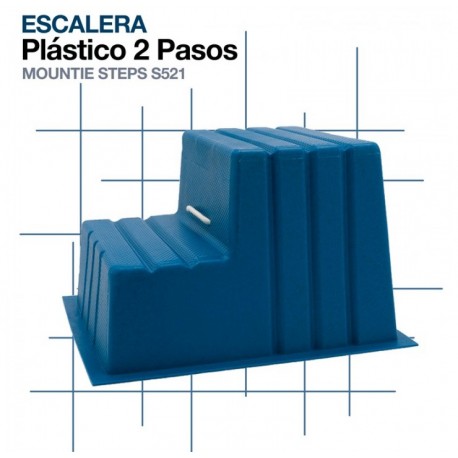 Escalera plástico 2 pasos