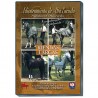 DVD: Alta Escuela. Riendas largas. Adaptación de jinete y caballo