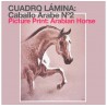 Lámina caballo árabe